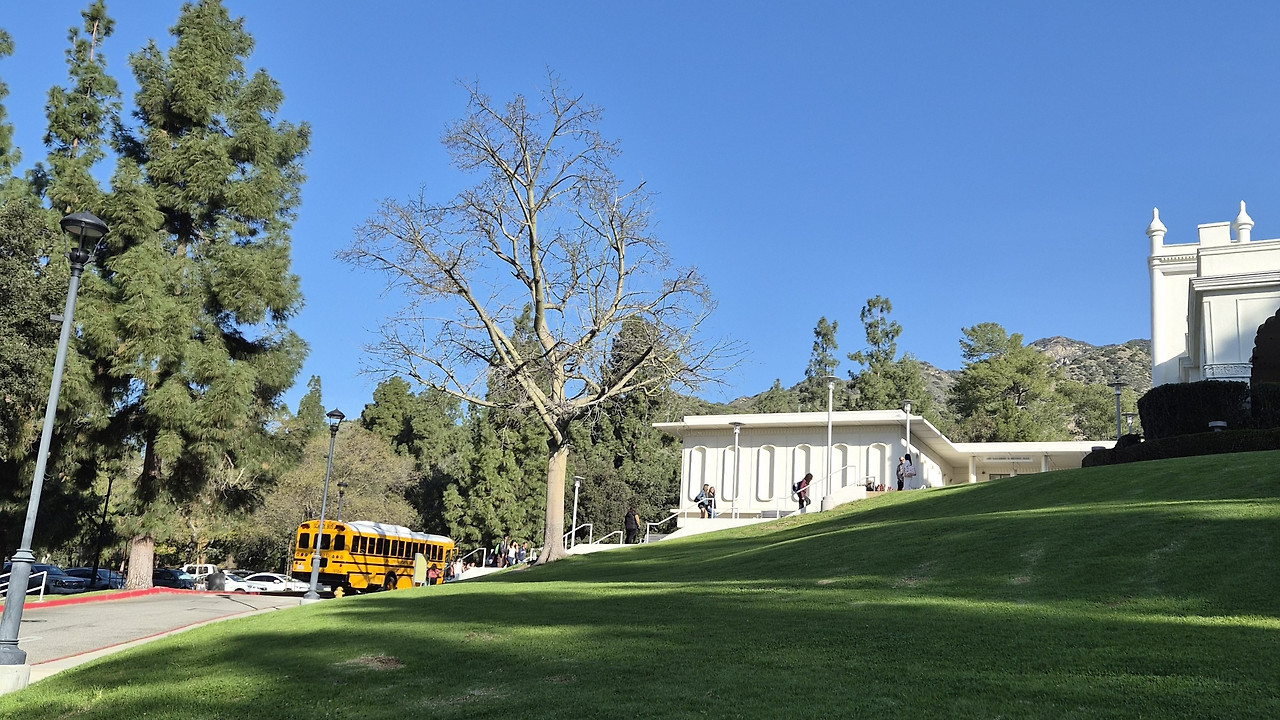 school bus Brand Park.jpg