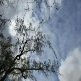 날씨예보 (3).jpg