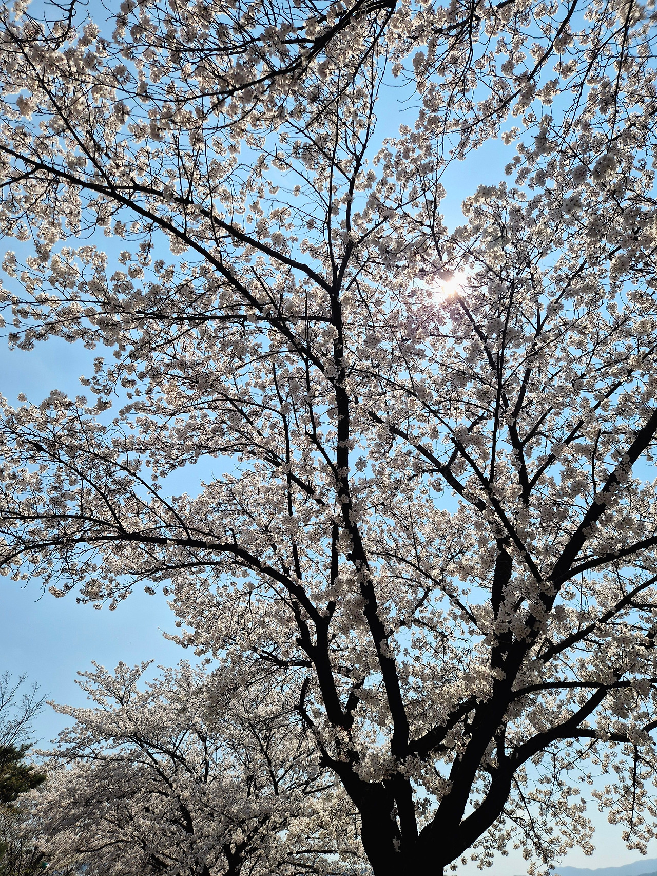 20260402_140728.jpg