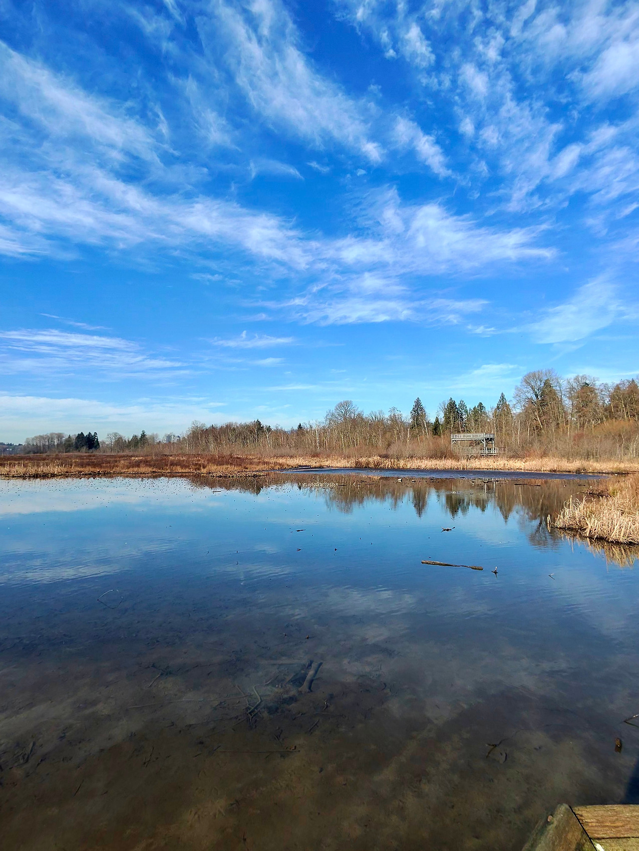 1770329326099 (1).jpg