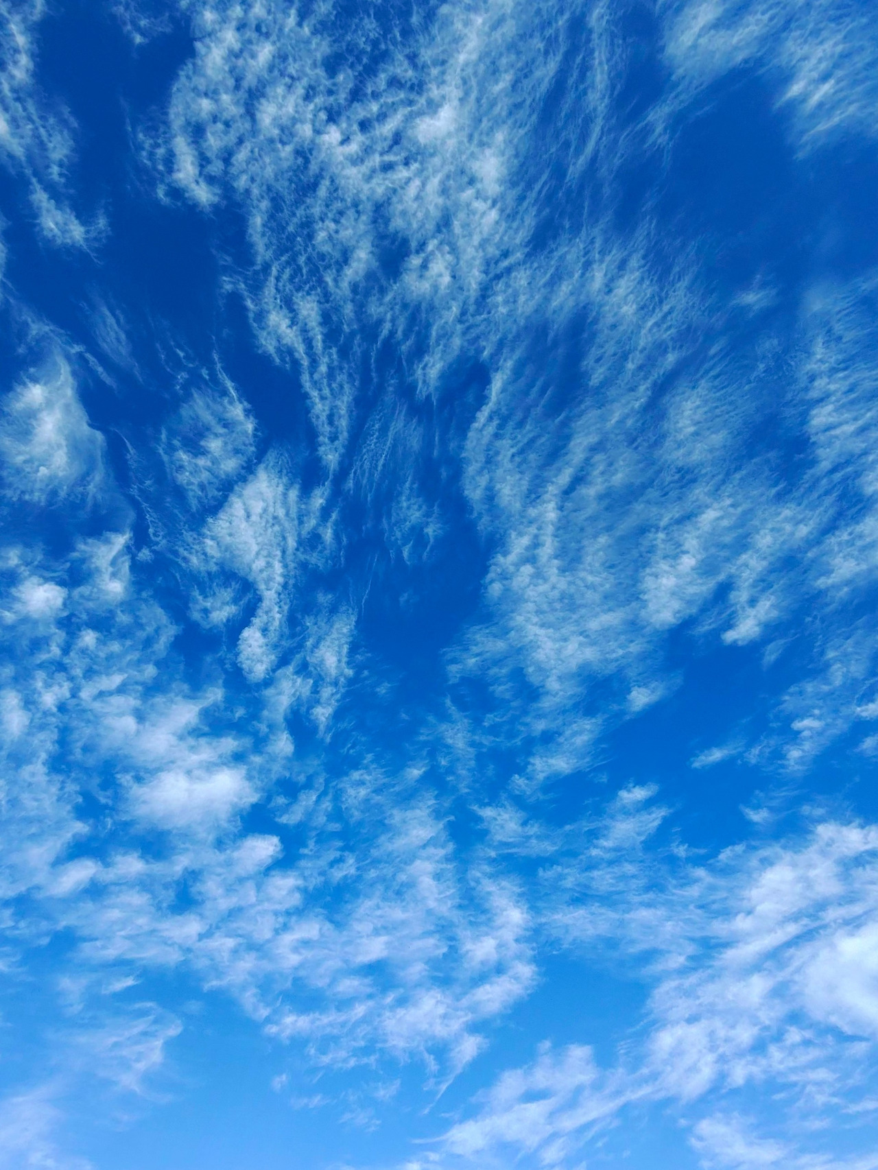 1770329319499 (1).jpg