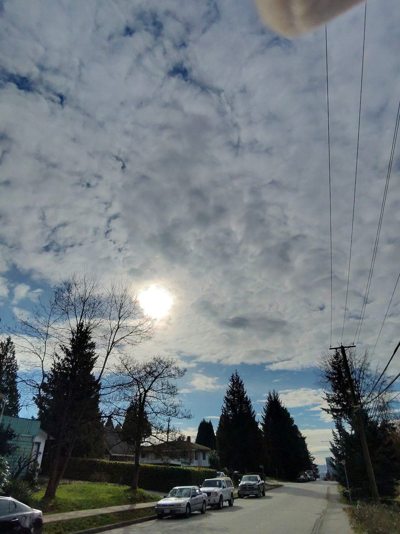 20260218_104331_fd635b8e (1).jpg