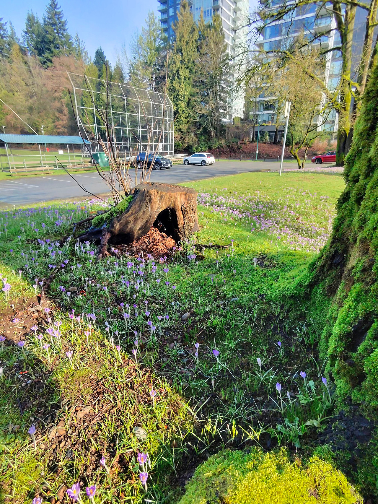 20260204_130308_9d285f98 (2).jpg