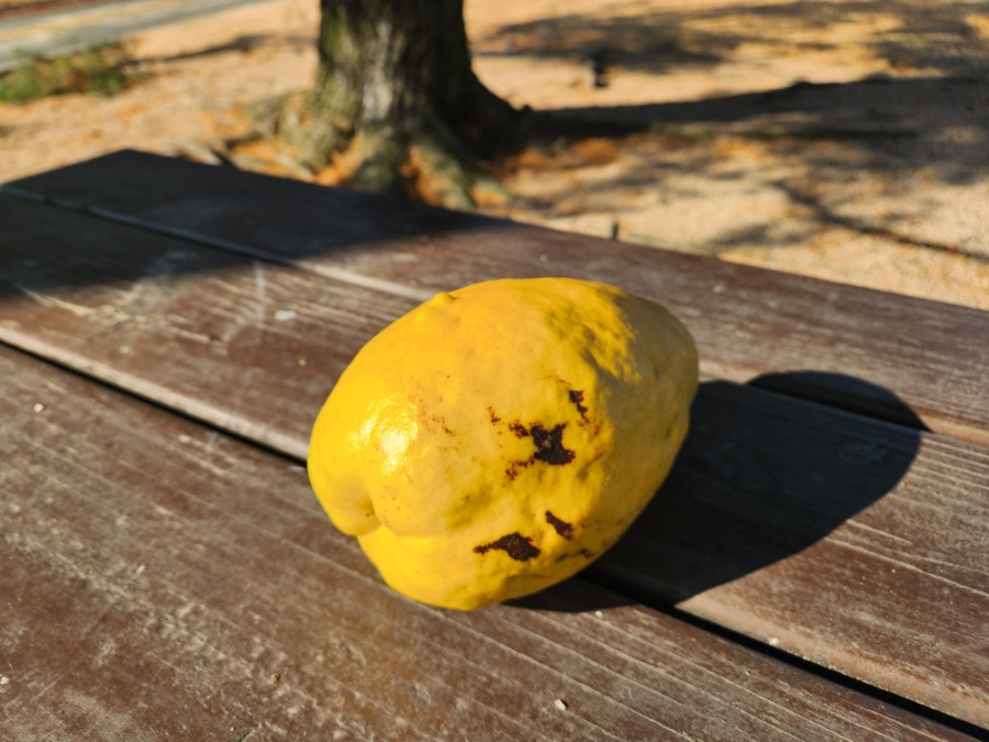 900＿20251218＿132654 (2).jpg