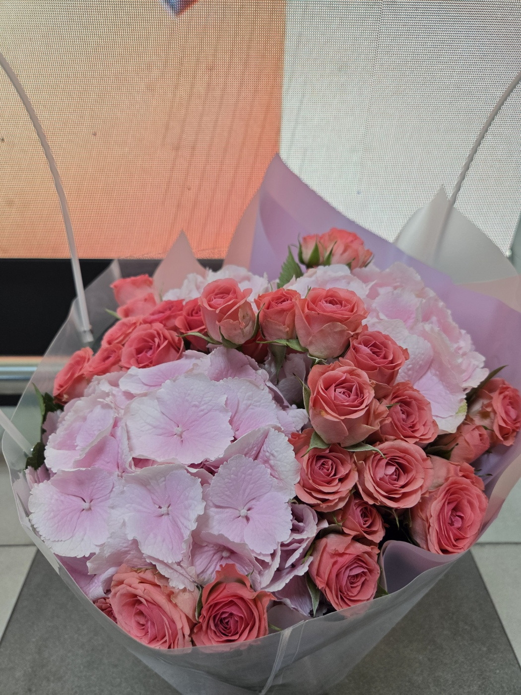 KakaoTalk_20260416_123637407.jpg