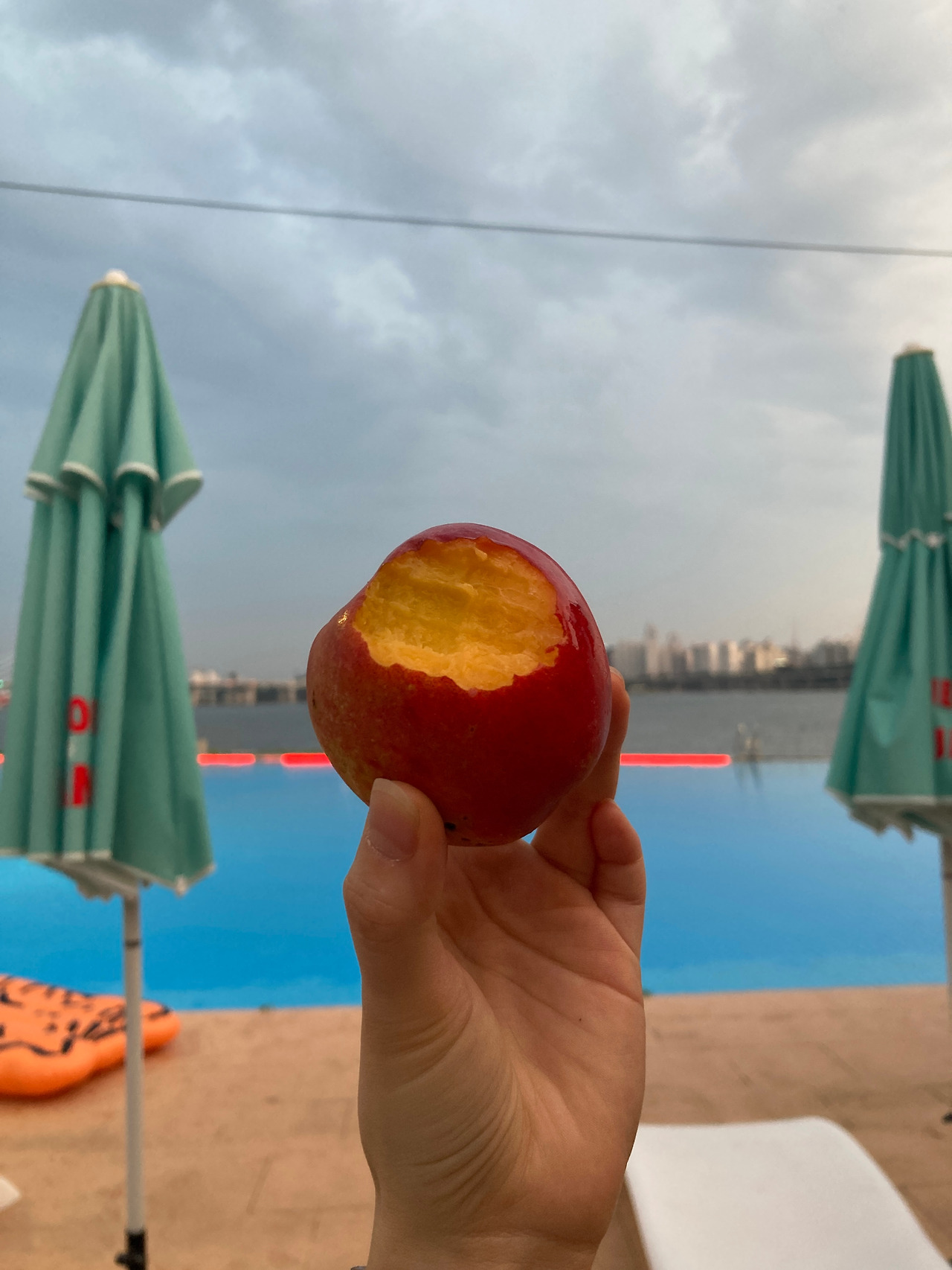 KakaoTalk_20260201_213024912_07 (1).jpg