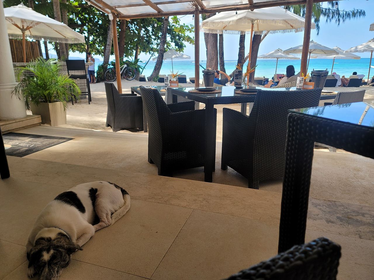 260402-보라카이 카페 속 개-KakaoTalk_20260402_204240871.jpg