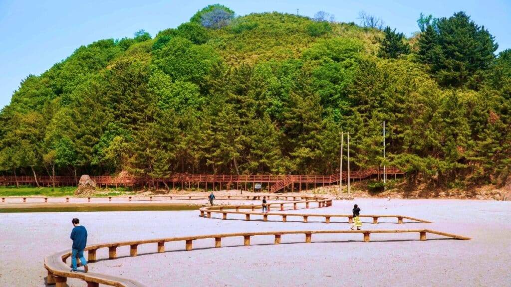 Deokbongsan-Coastal-Eco-trail-2-1024x576.jpg