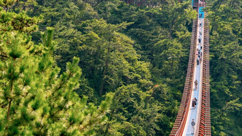 Daewangam-Park-Suspension-Bridge-1024x576.jpg