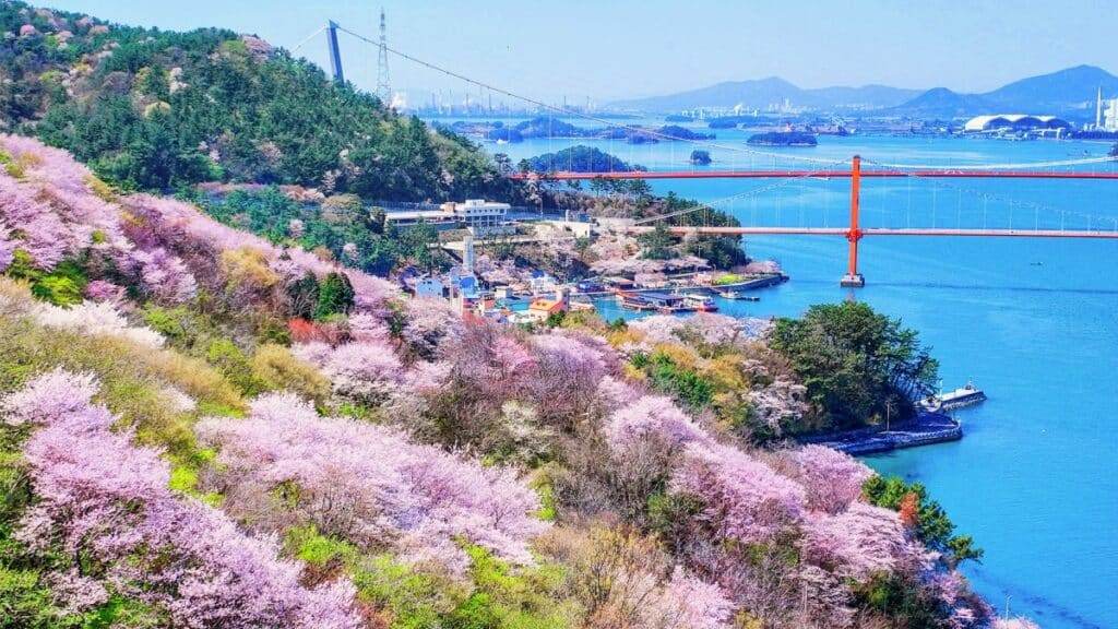 Blooming-Namhae-1024x576.jpg