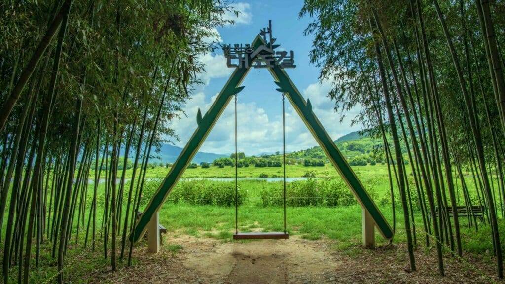 Seomjingang-Bamboo-Forest-2-1024x576.jpg