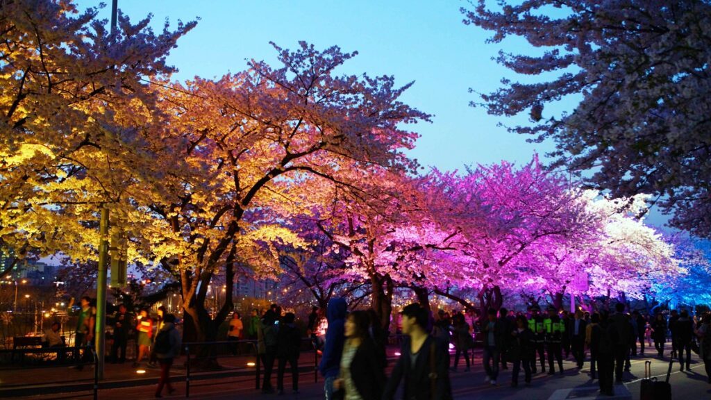 2026-Yeouido-Cherry-Blossom-Festival-1024x576.jpg