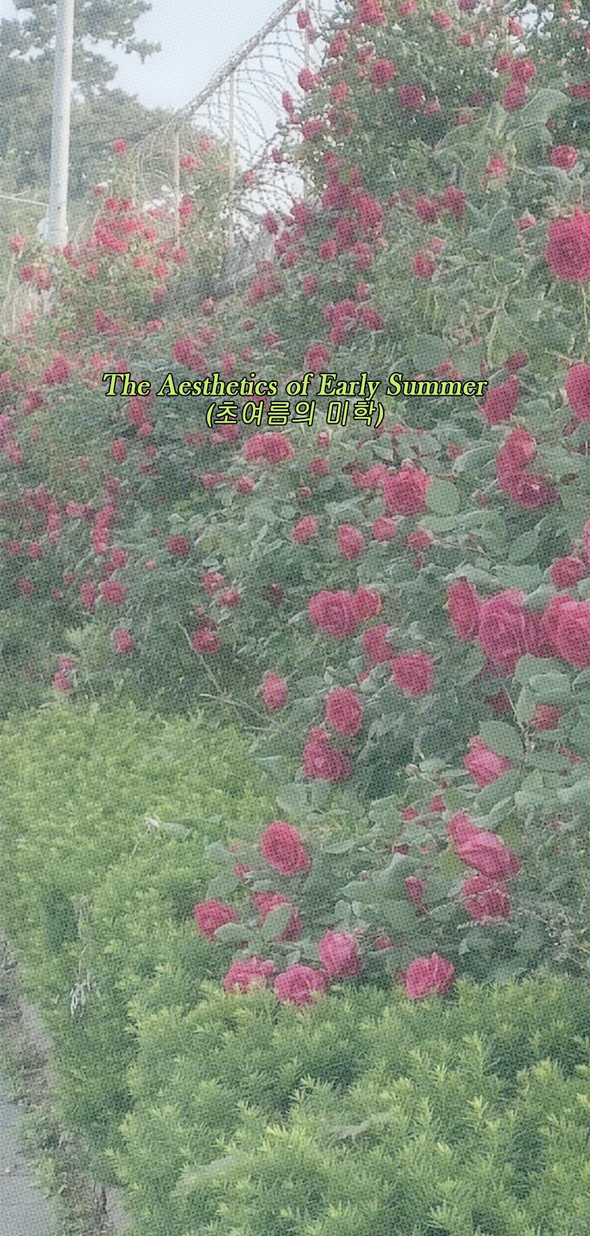 배경화면 복사.jpg