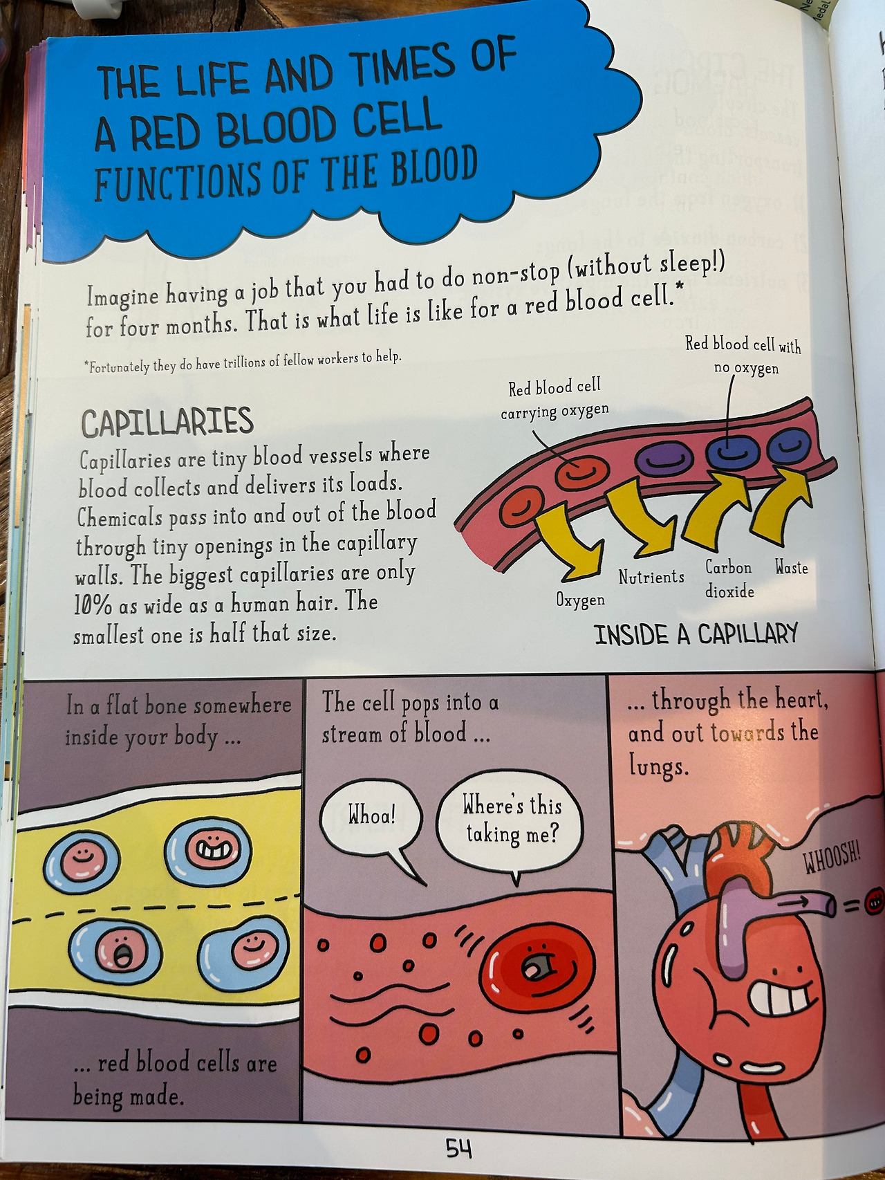 Weixin Image_20260407110355.jpg