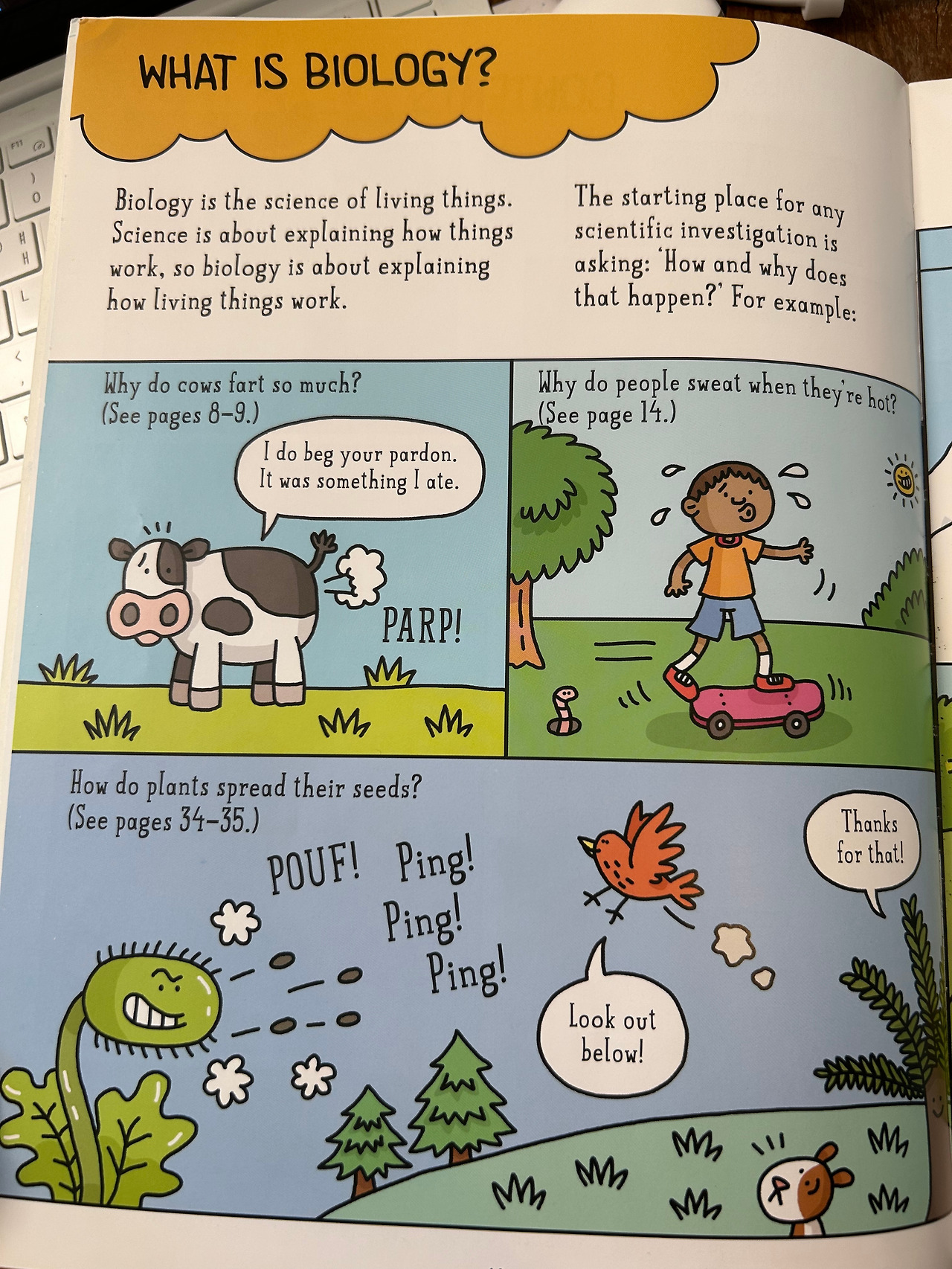 Weixin Image_20260407110332.jpg