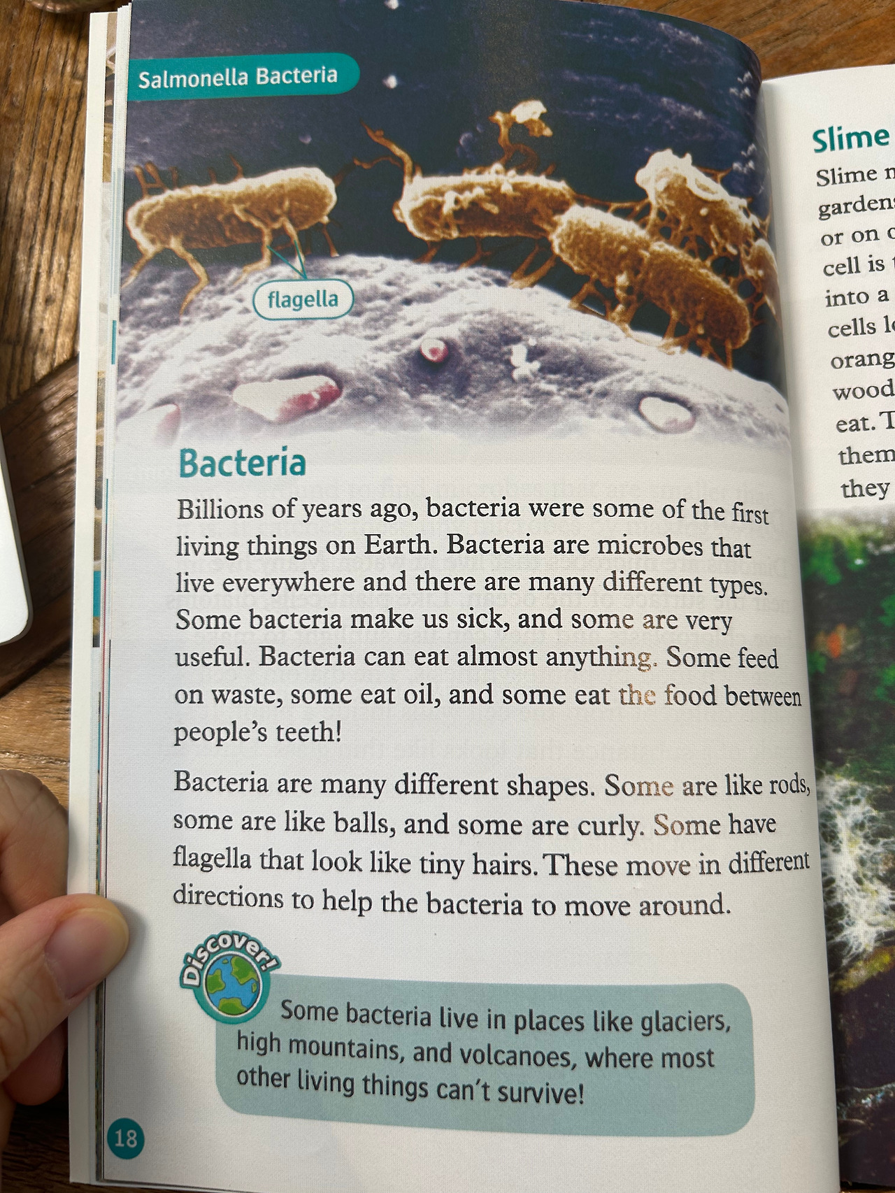 Weixin Image_20260407110259.jpg