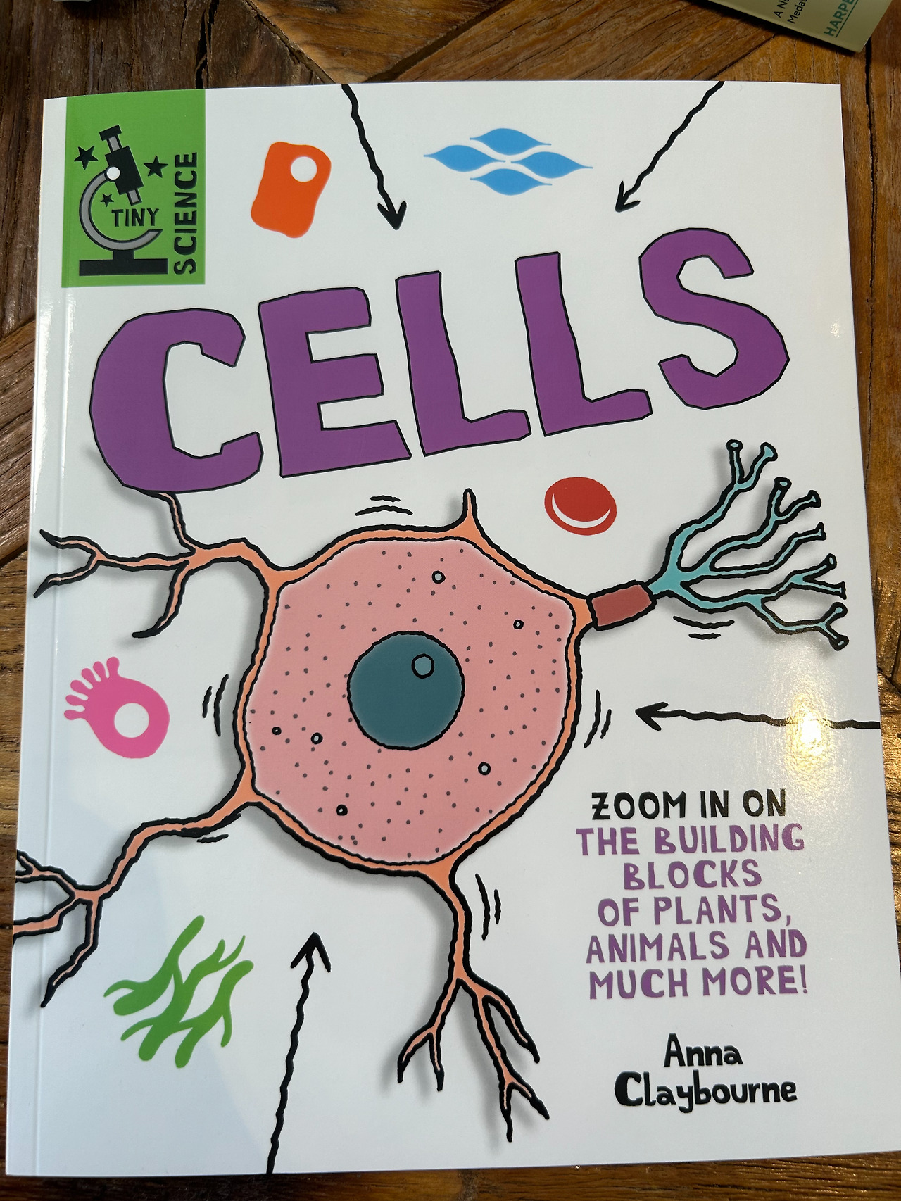 Weixin Image_20260407110543.jpg