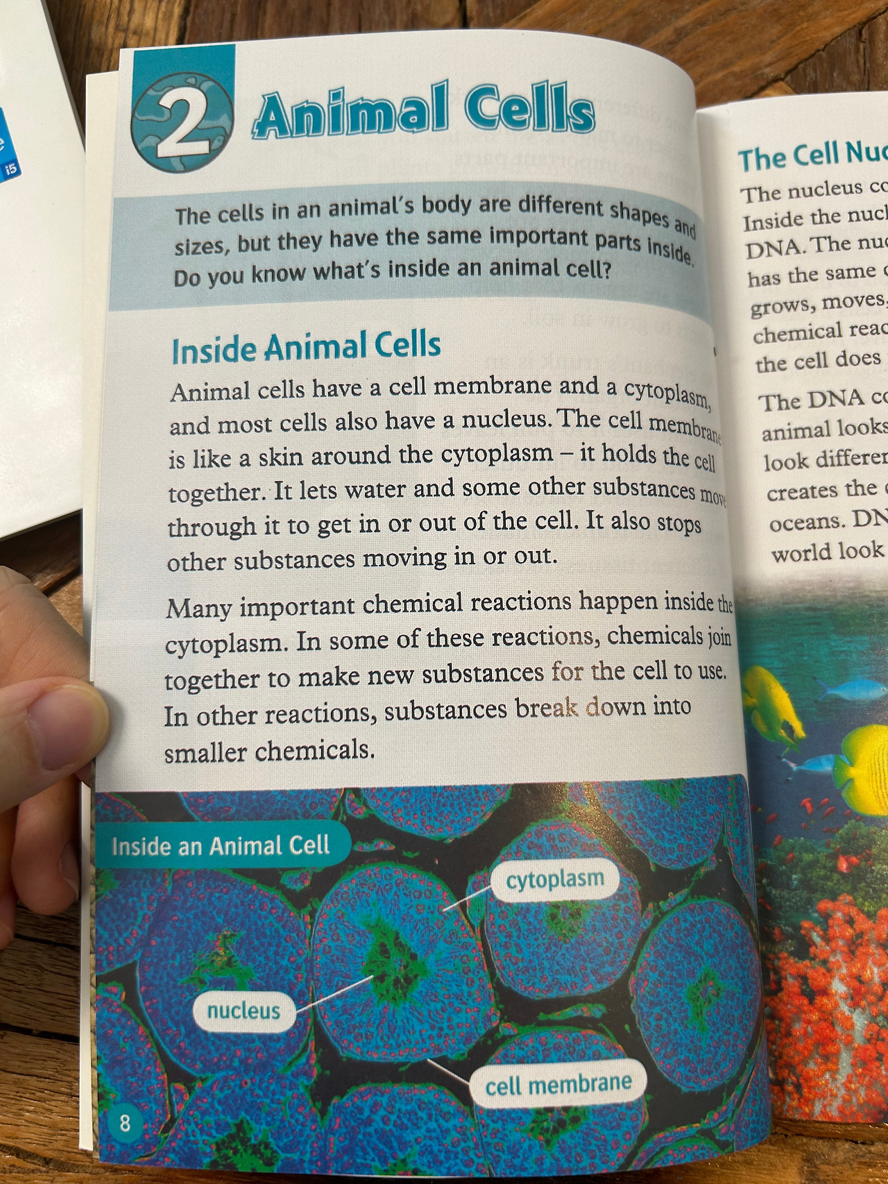 Weixin Image_20260407110213.jpg