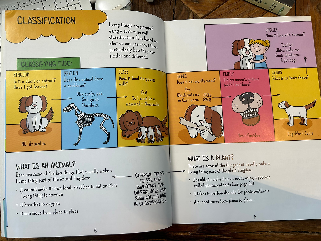 Weixin Image_20260407110344.jpg