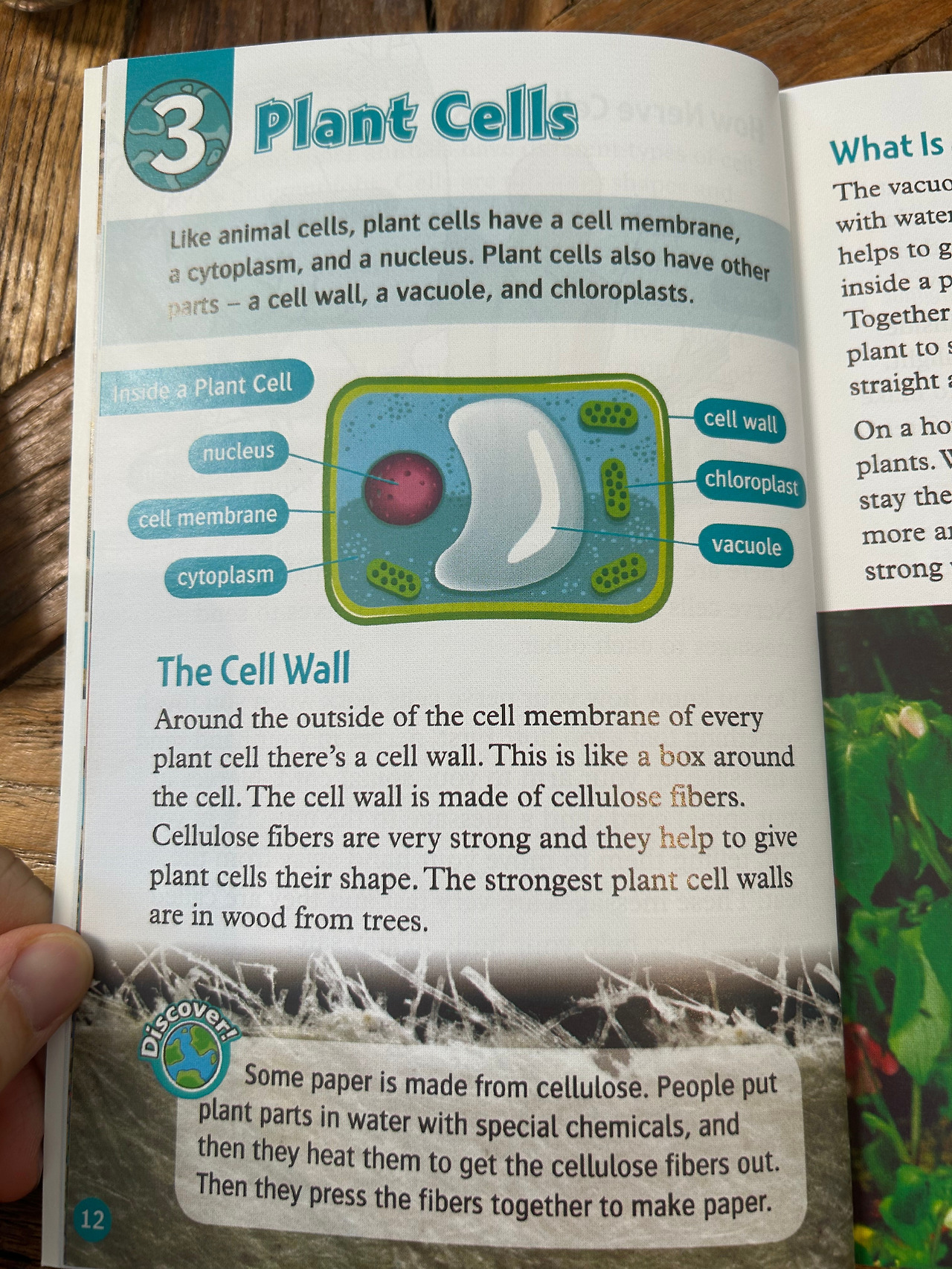 Weixin Image_20260407110236.jpg