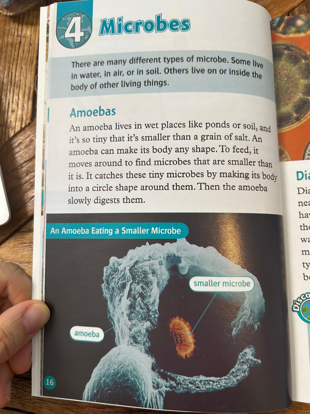 Weixin Image_20260407110247.jpg