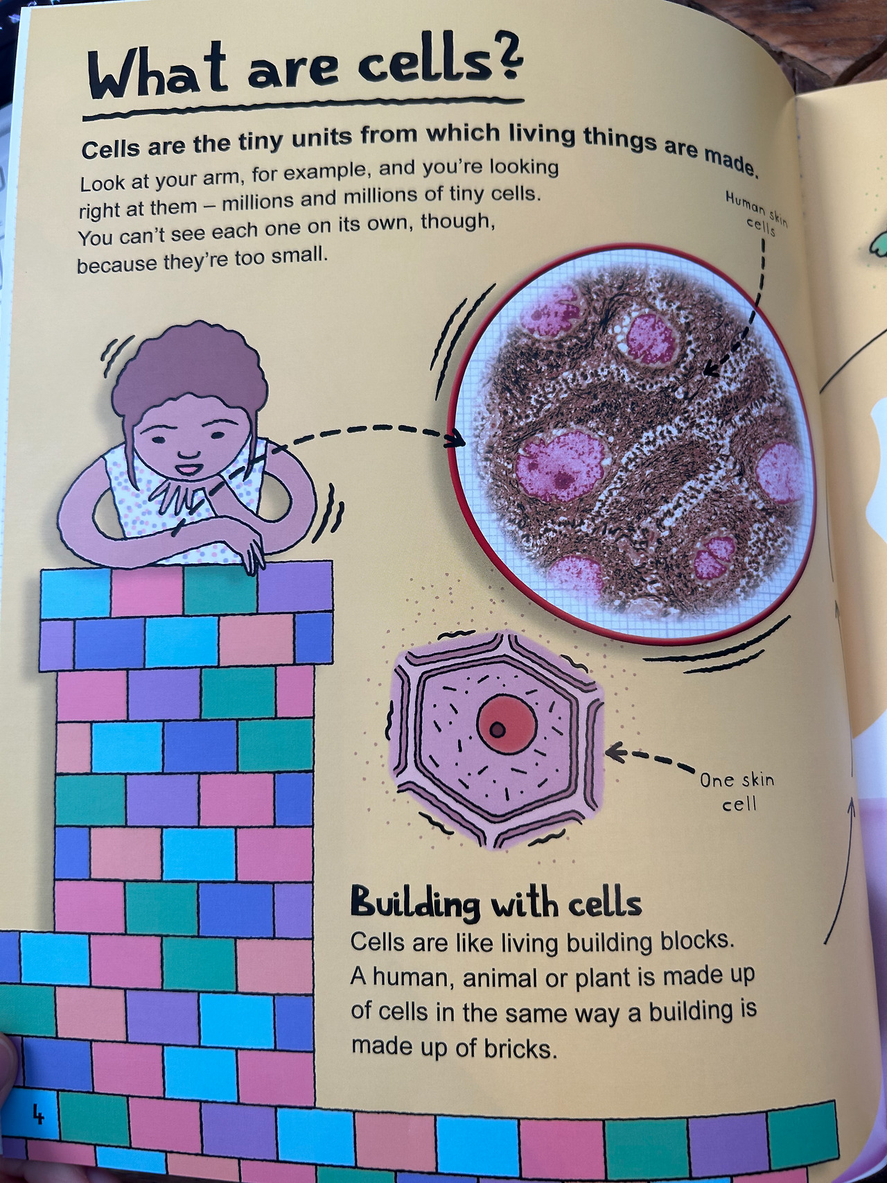 Weixin Image_20260407110636.jpg