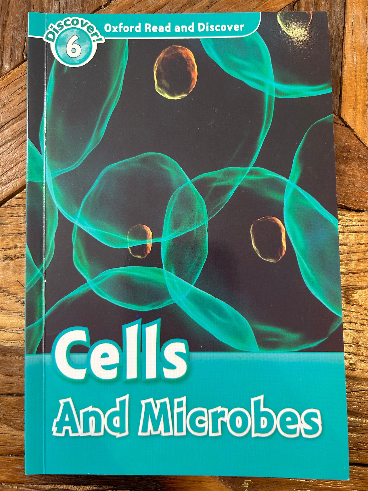 Weixin Image_20260407110128.jpg