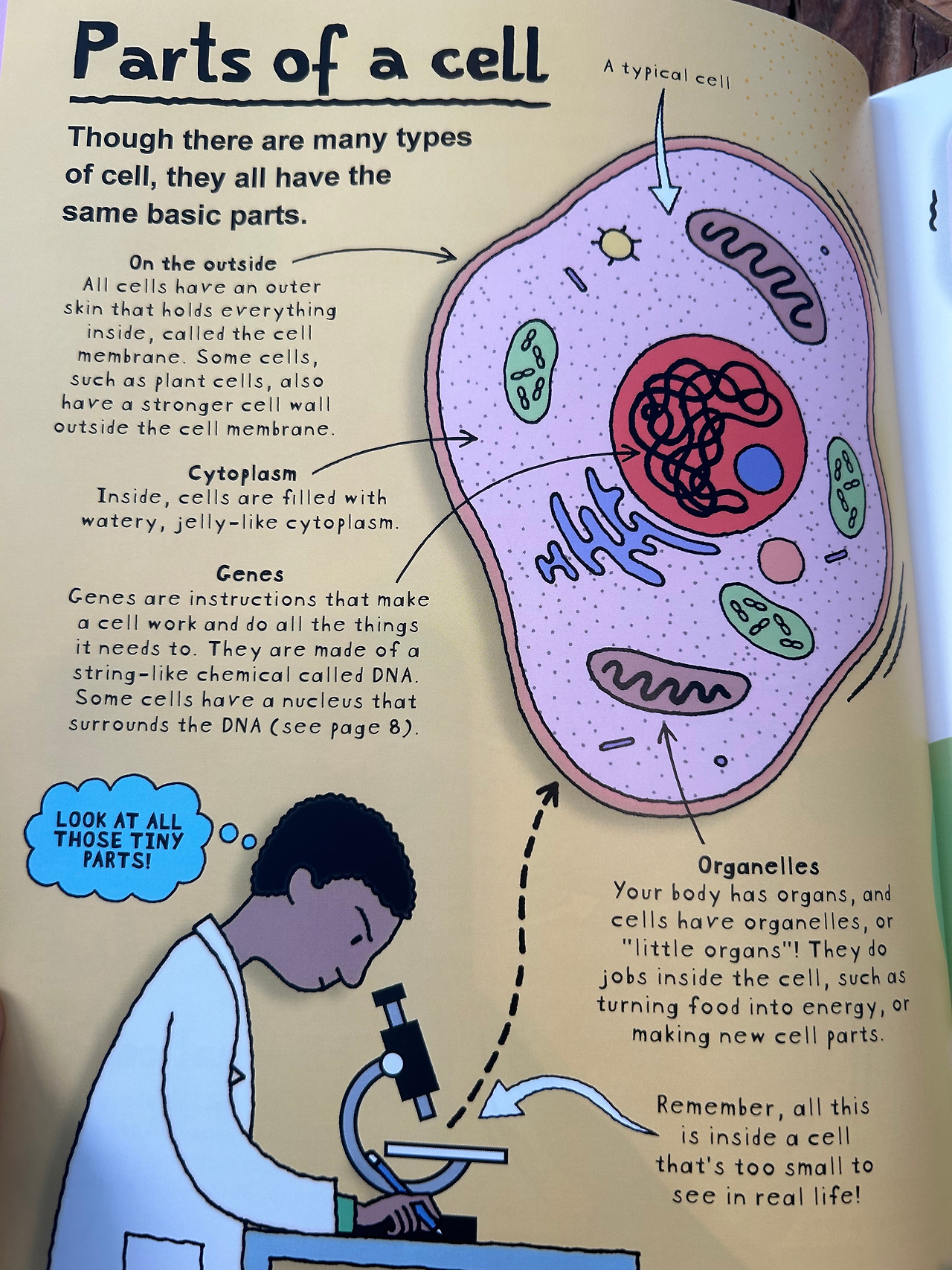 Weixin Image_20260407110708.jpg