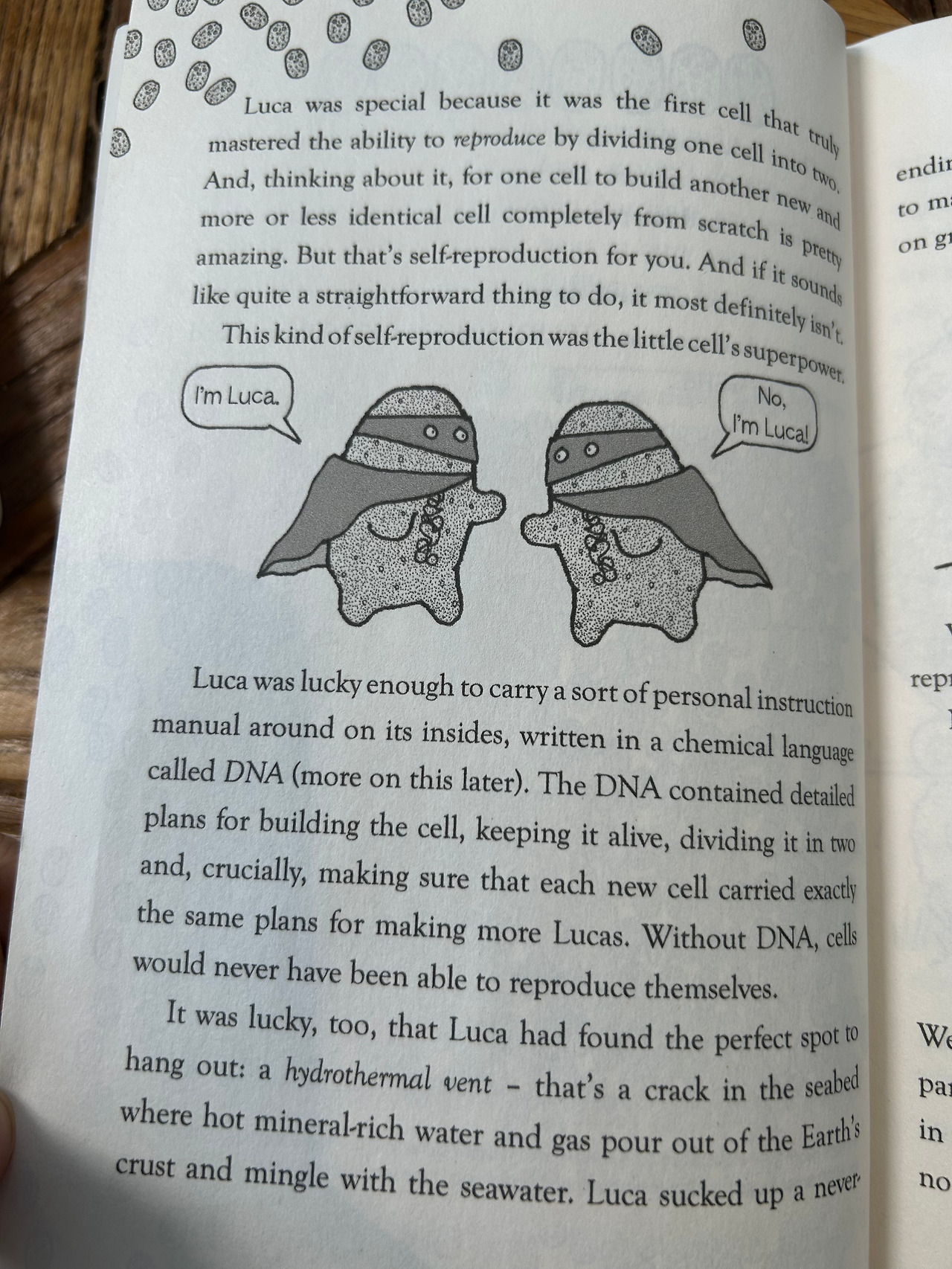 Weixin Image_20260407110524.jpg