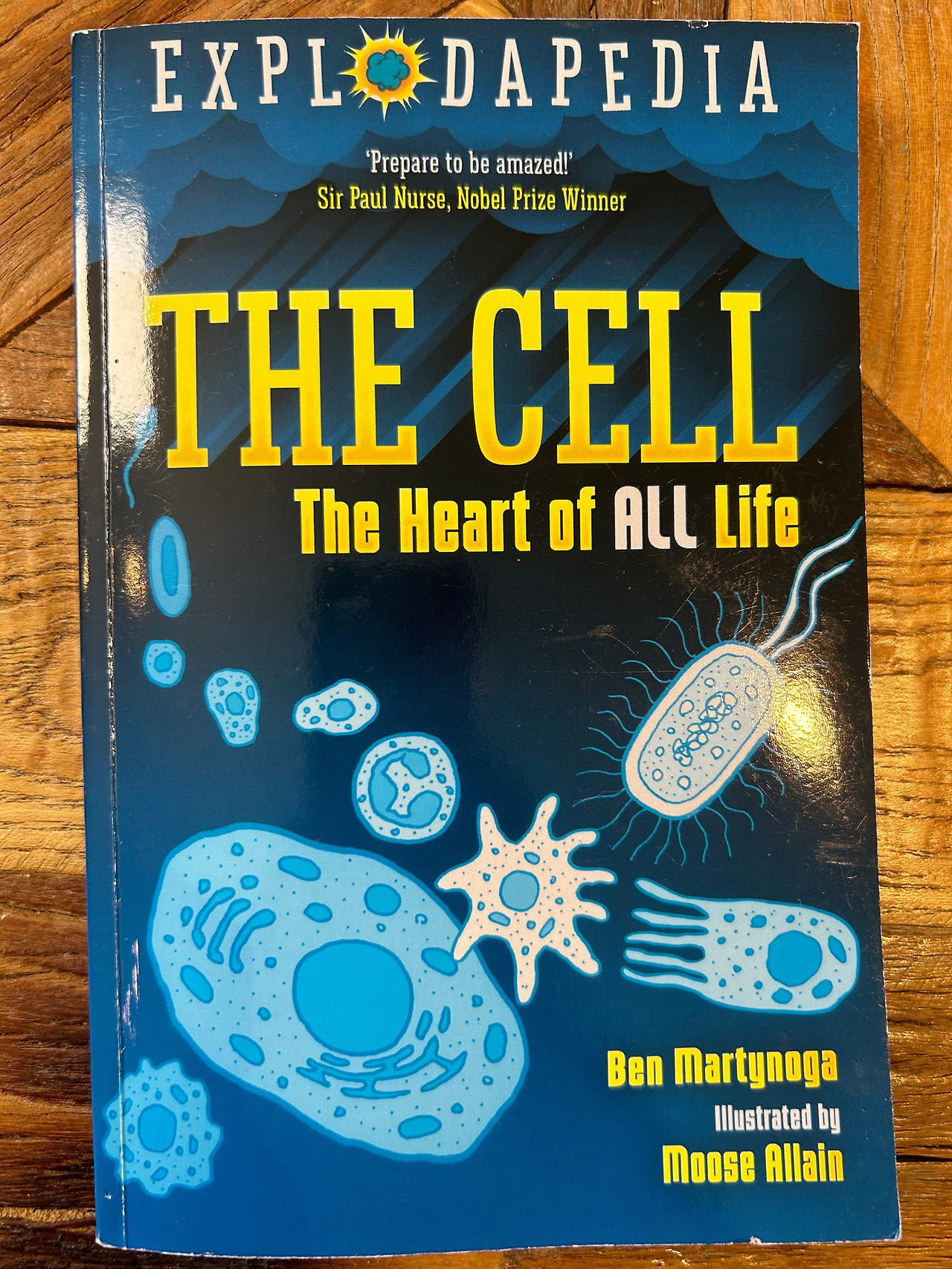 Weixin Image_20260407110414.jpg