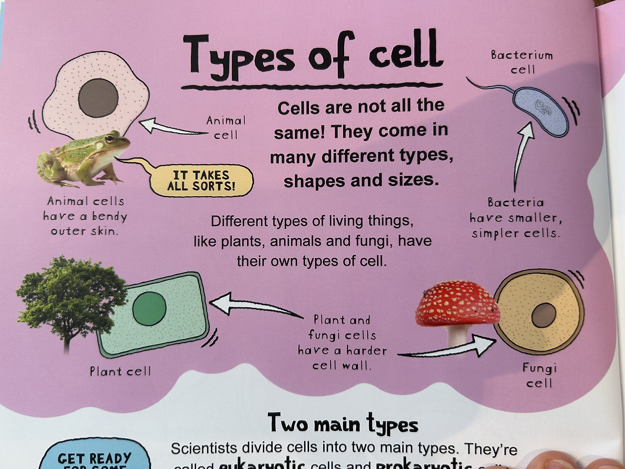 Weixin Image_20260407110657.jpg