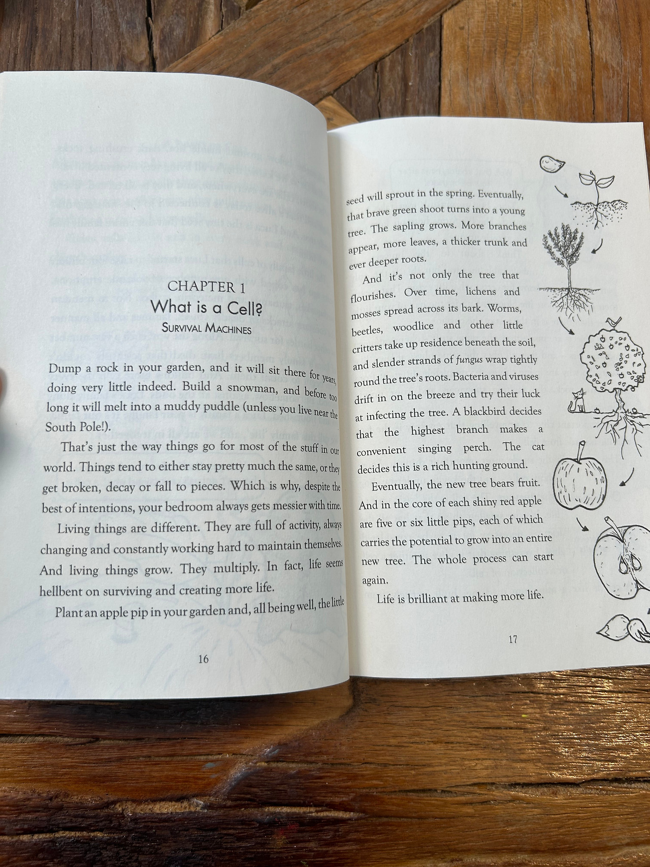 Weixin Image_20260407110507.jpg