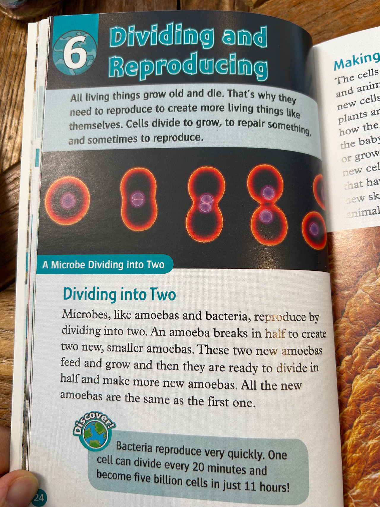 Weixin Image_20260407110310.jpg