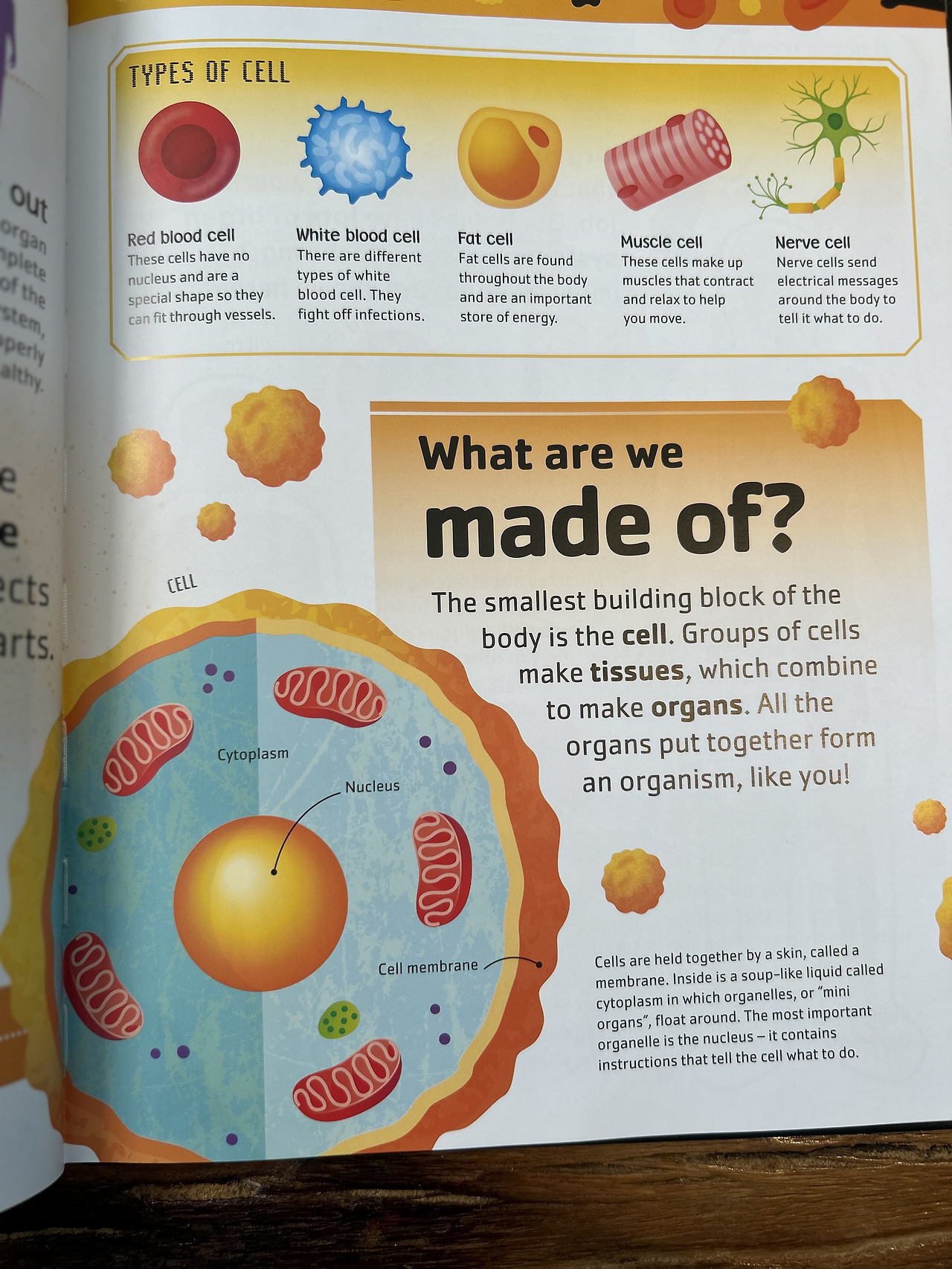 Weixin Image_20260407110811.jpg