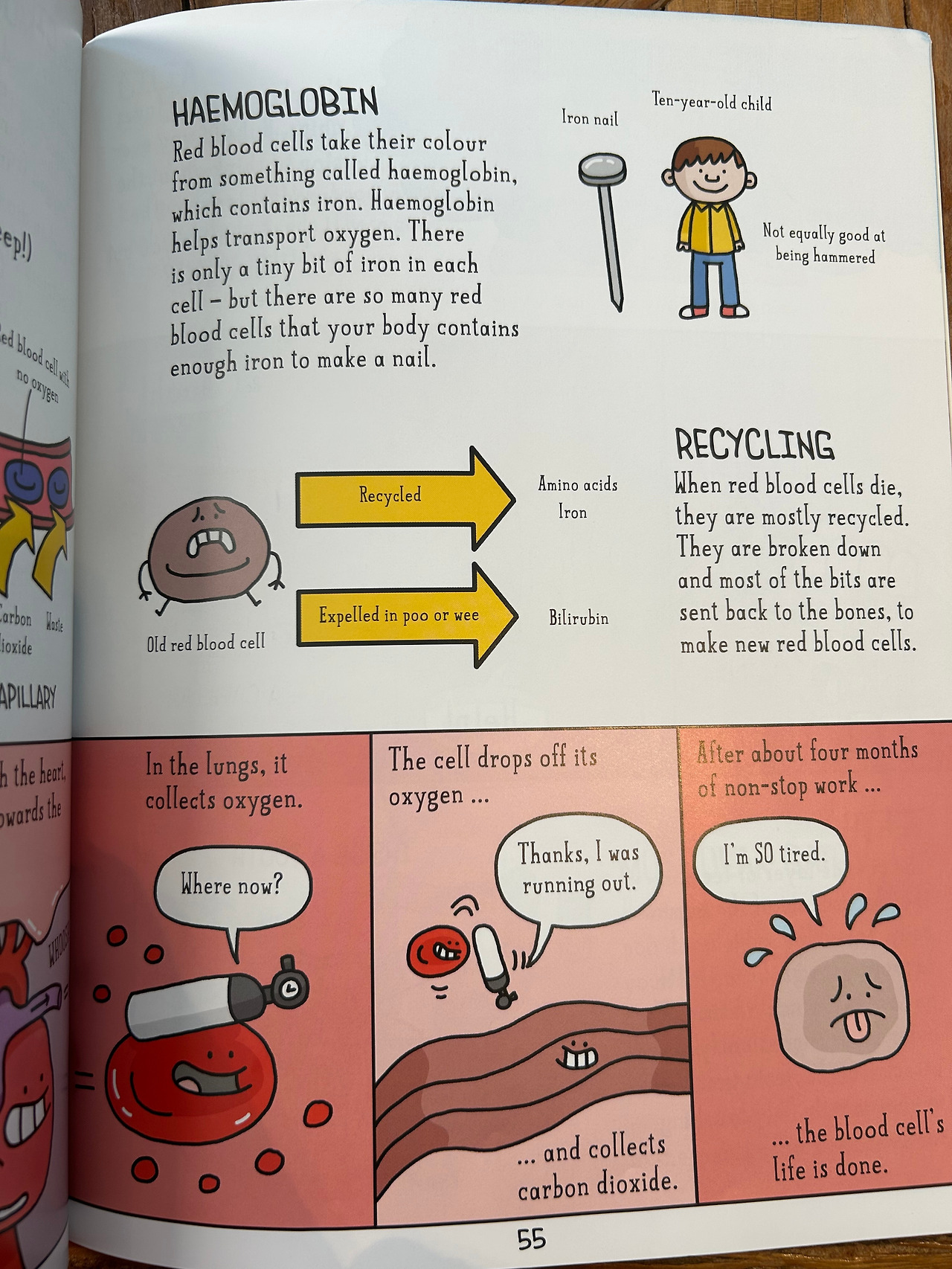 Weixin Image_20260407110403.jpg