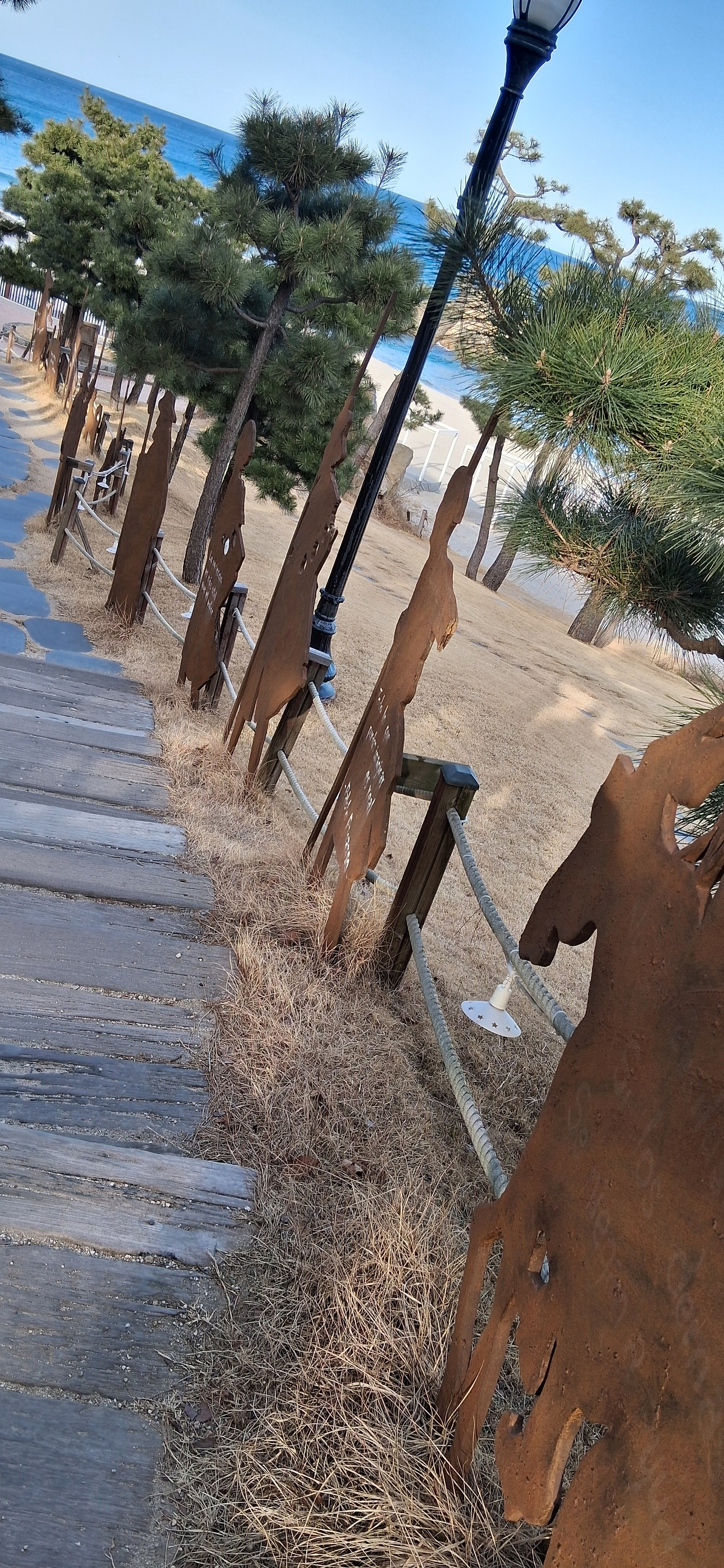 20260223_160045-2.jpg