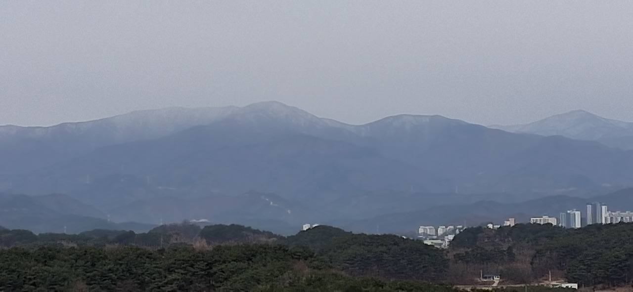 20260224_092142.jpg