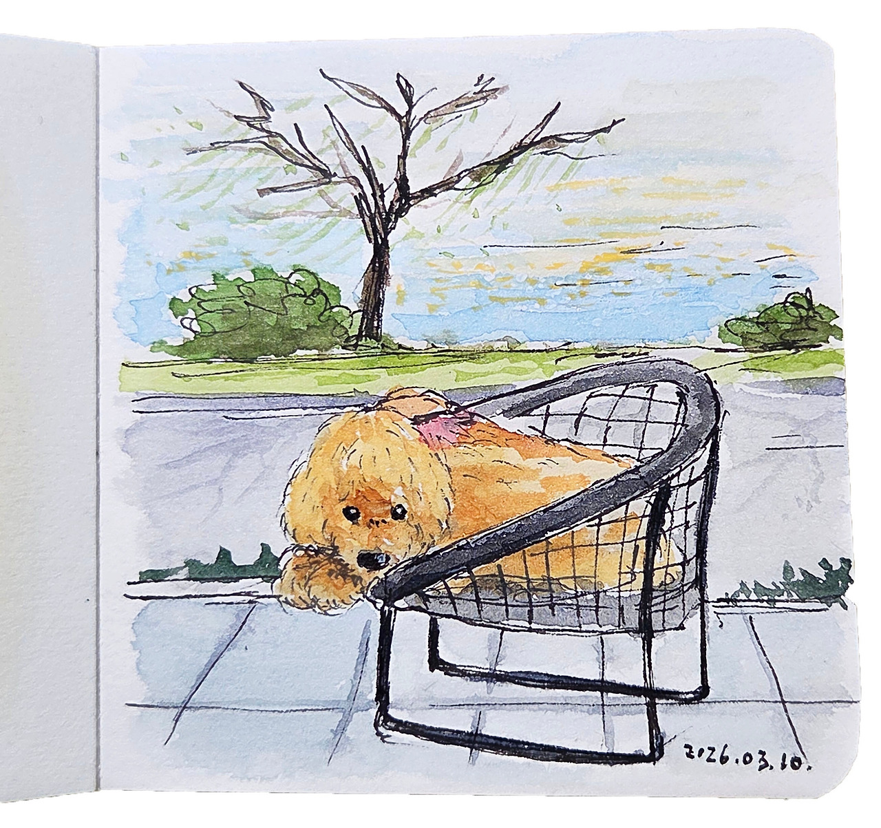 오호리공원 2.jpg