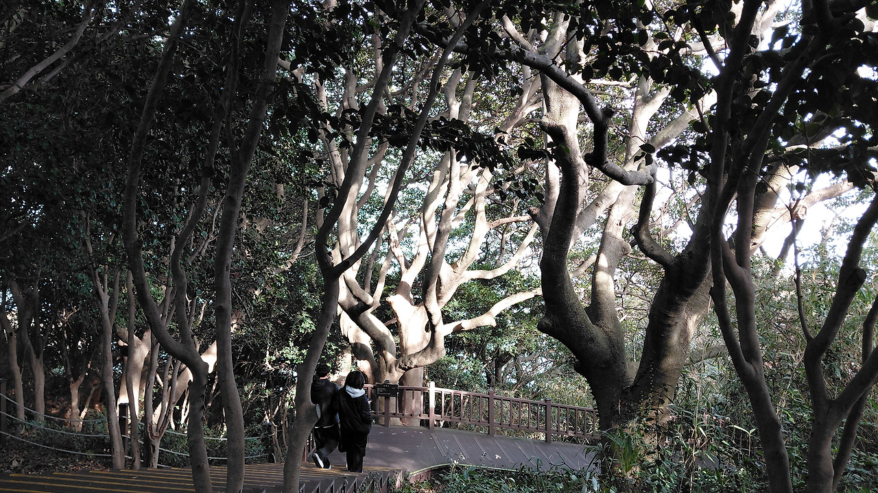 여수여행 오동도1.jpg