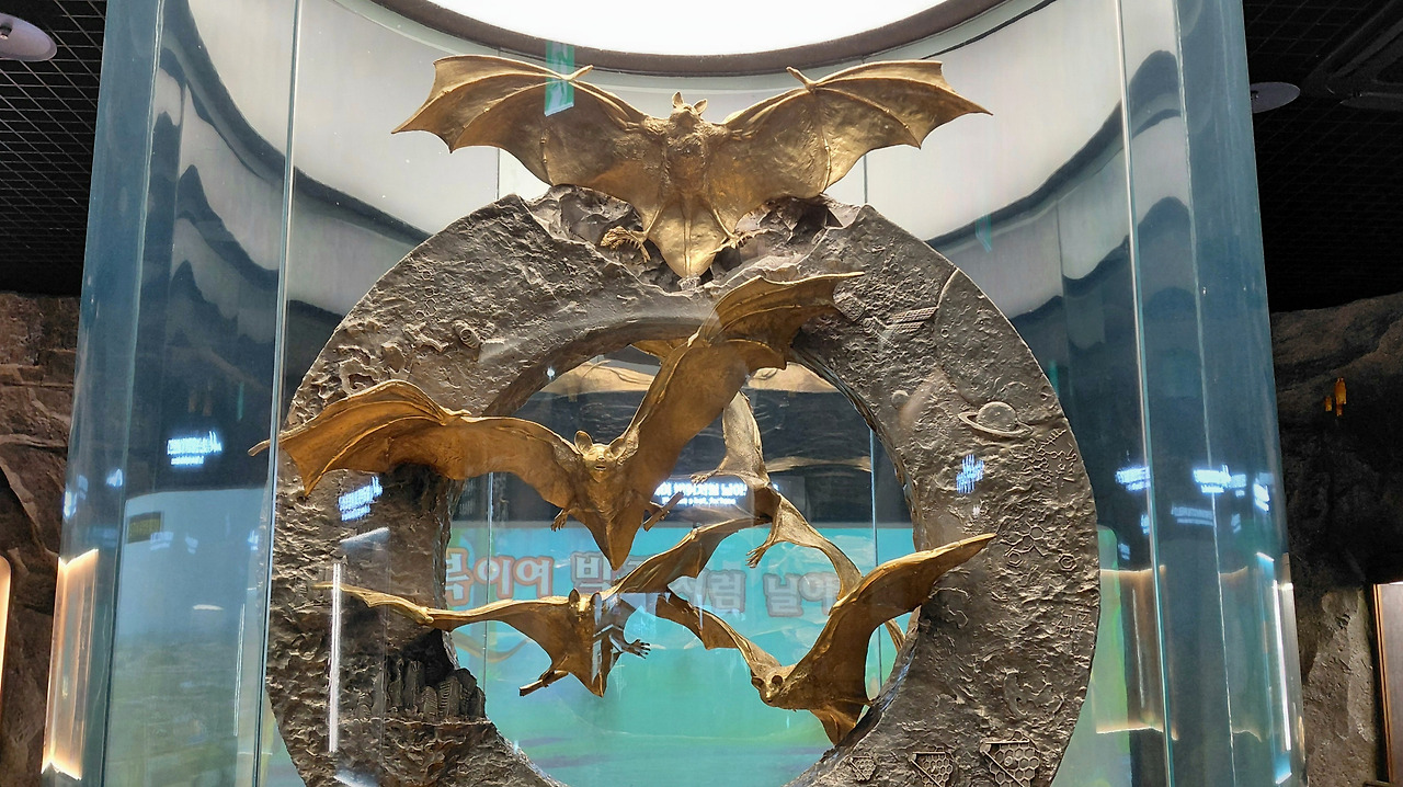 함평여행 황금박쥐 상세.jpg