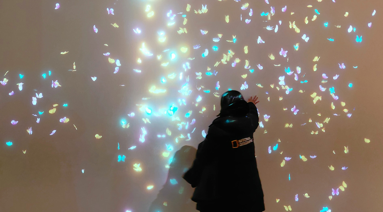 함평여행 나비곤충체험관.jpg