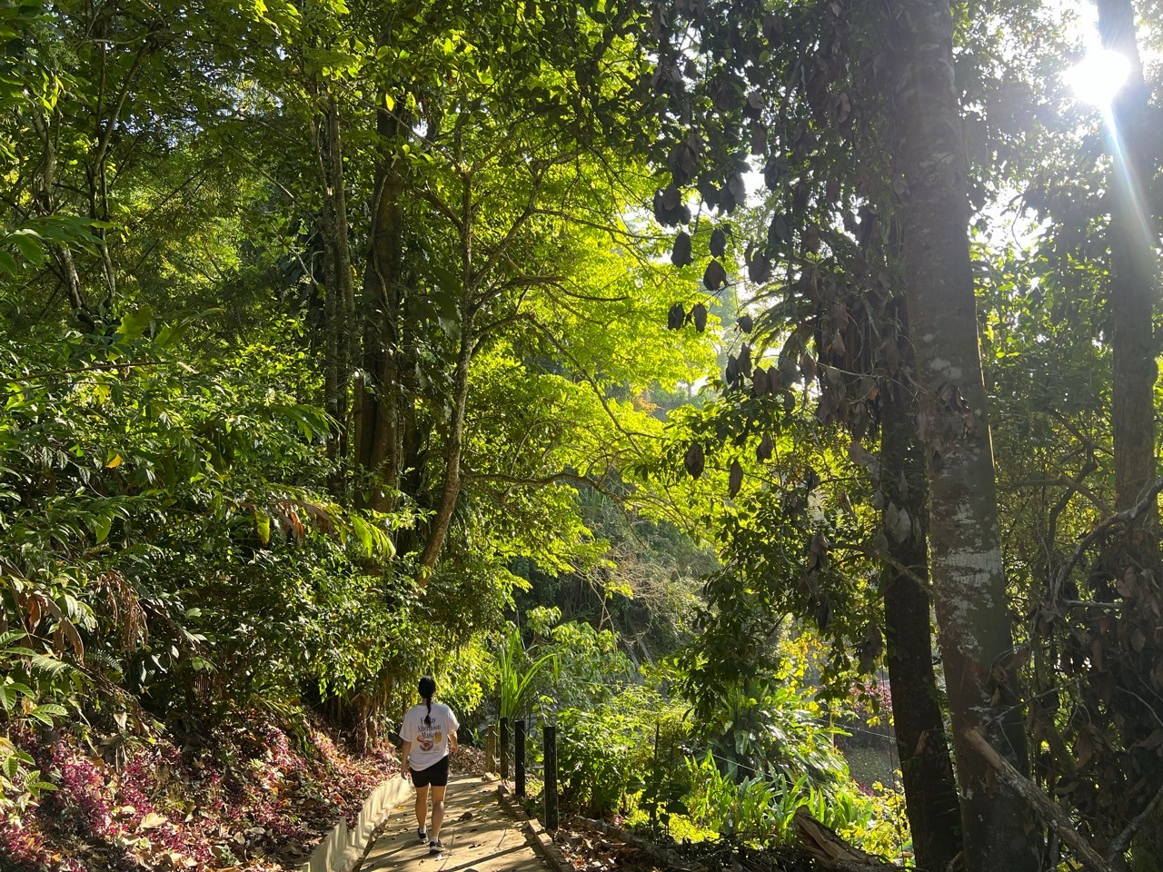 산티아고 2025-말레이시아-페낭힐-75559761416.jpg