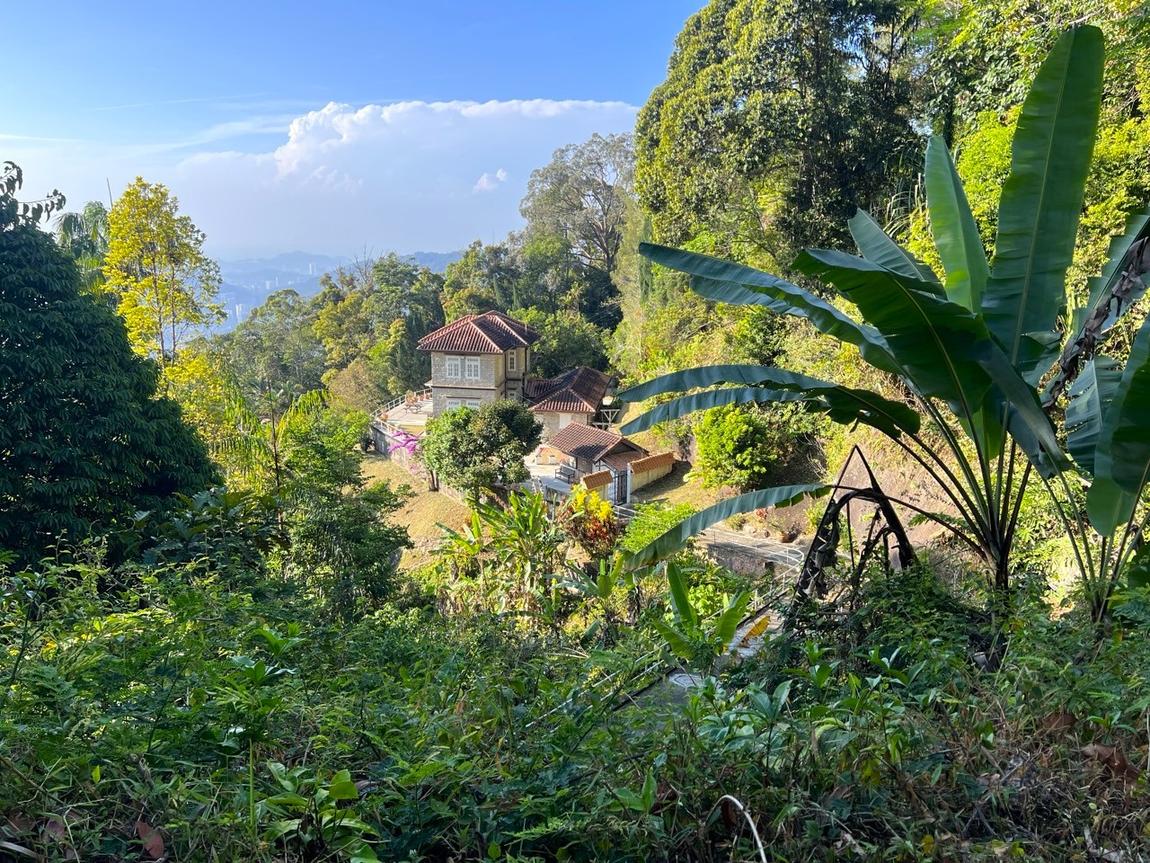 산티아고 2025-말레이시아-페낭힐-75559761418.jpg