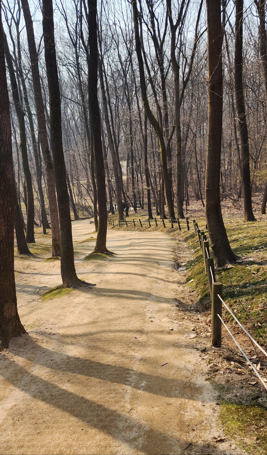 건릉가는 길1.jpg