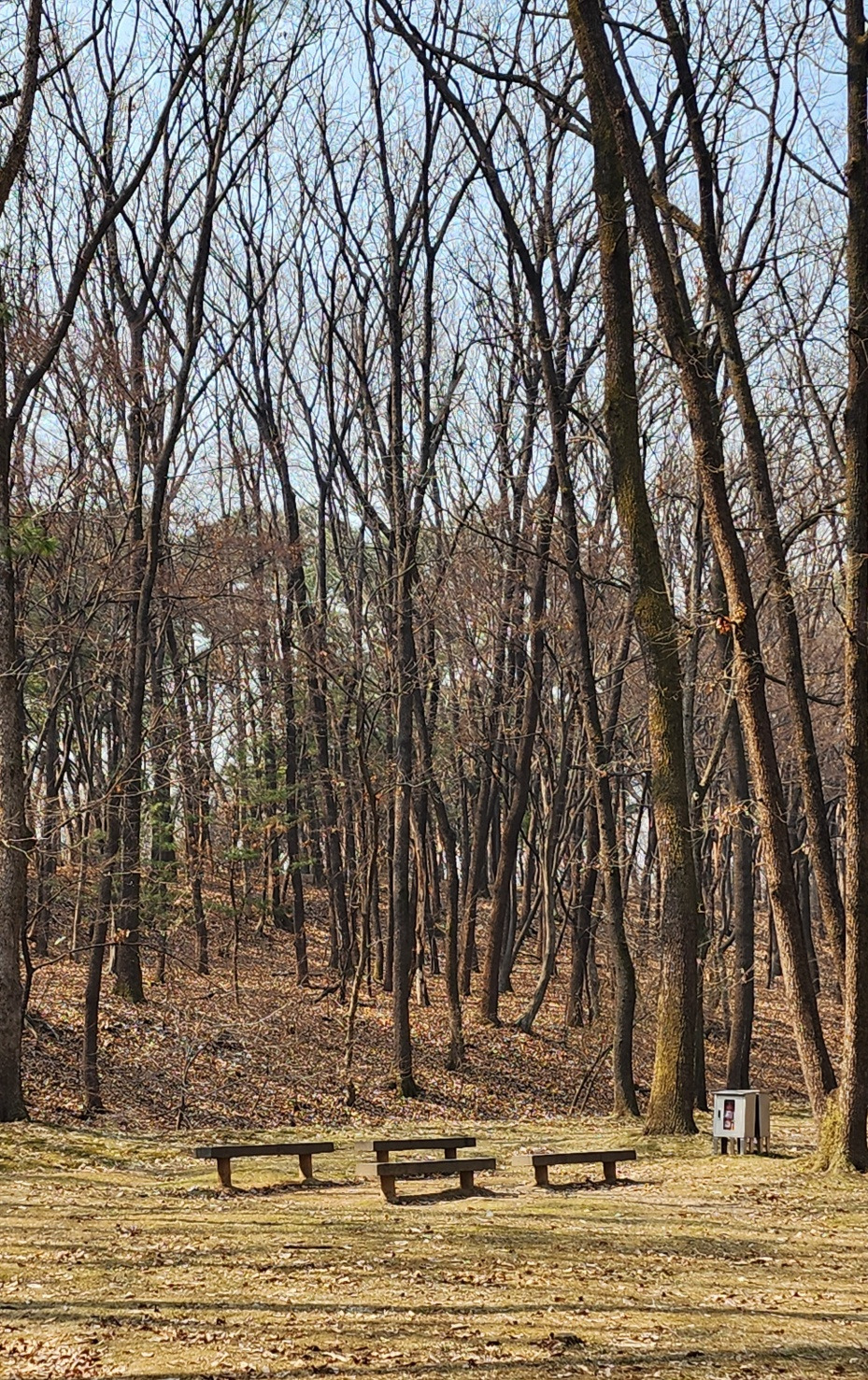 융릉 가는 길7.jpg