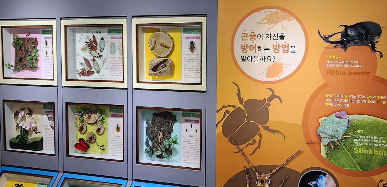 나비박물관3.jpg