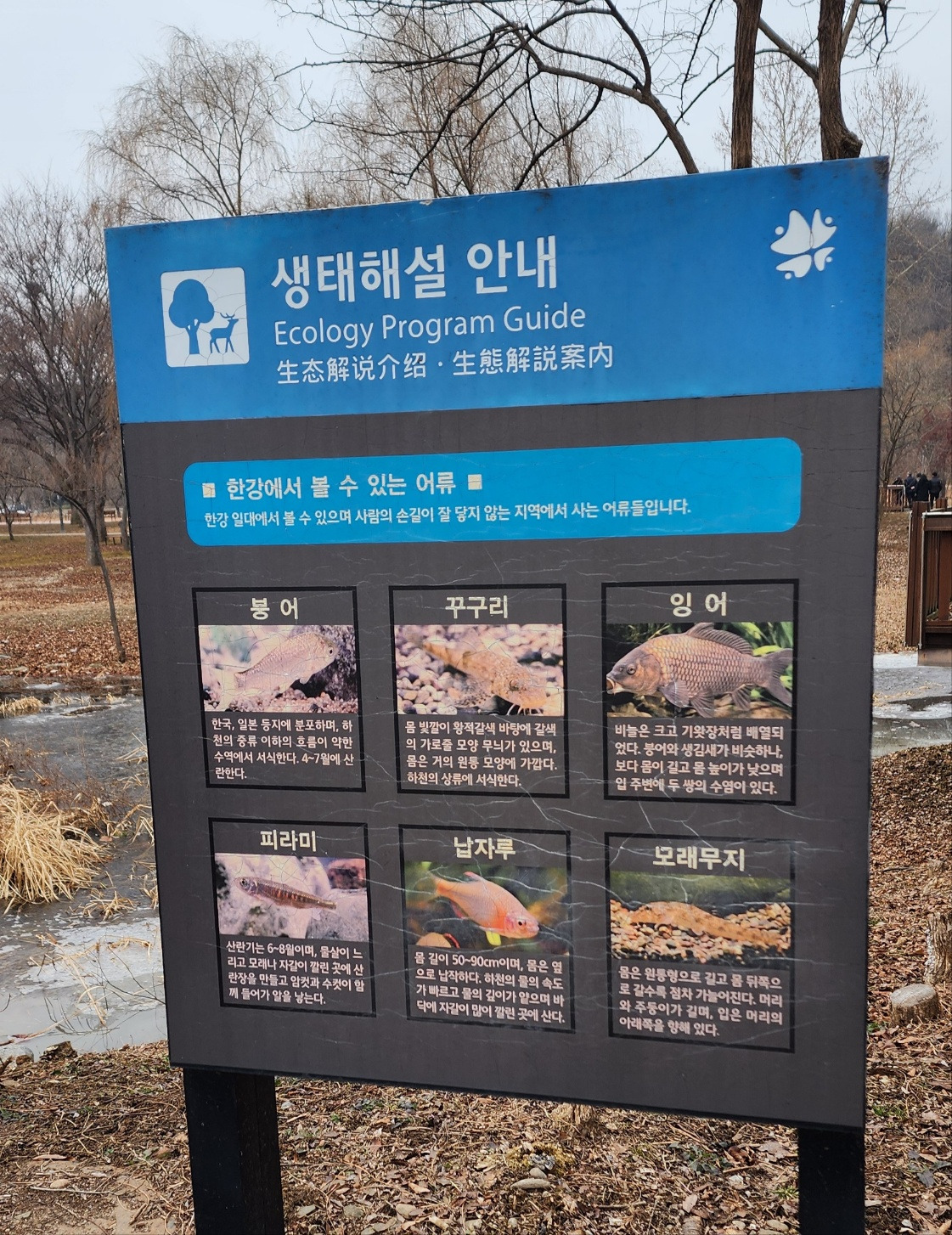 1 생태해설 안내.jpg