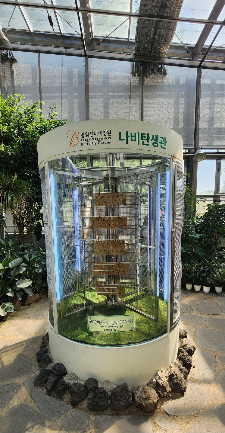 나비탄생관.jpg