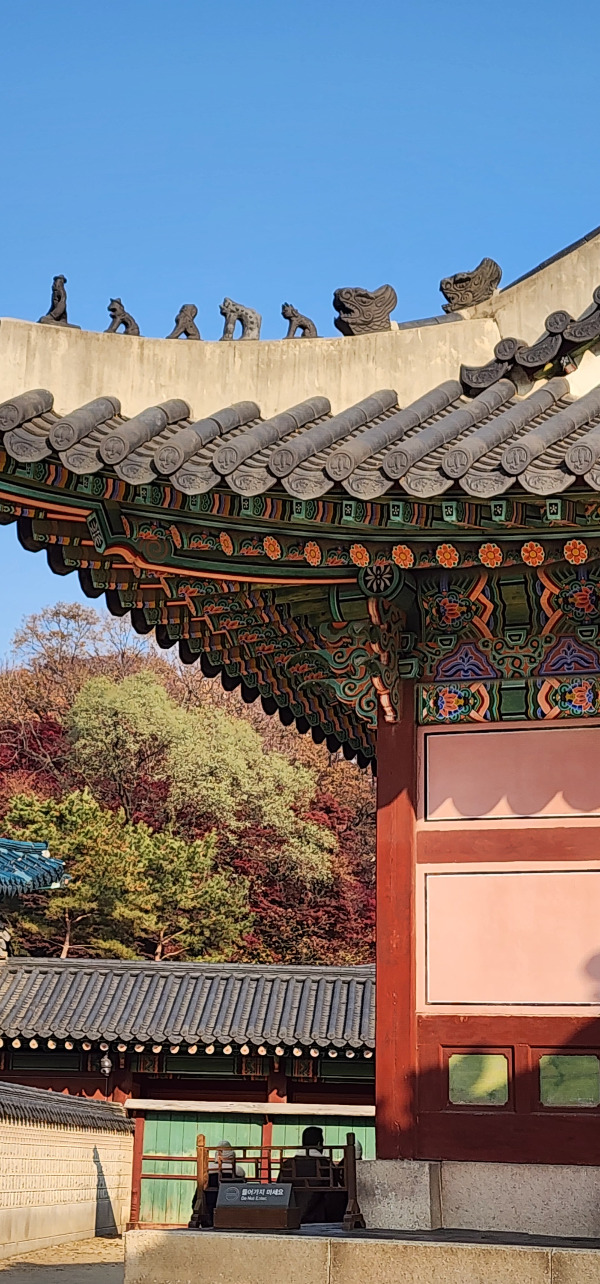 0 창덕궁 전각.jpg