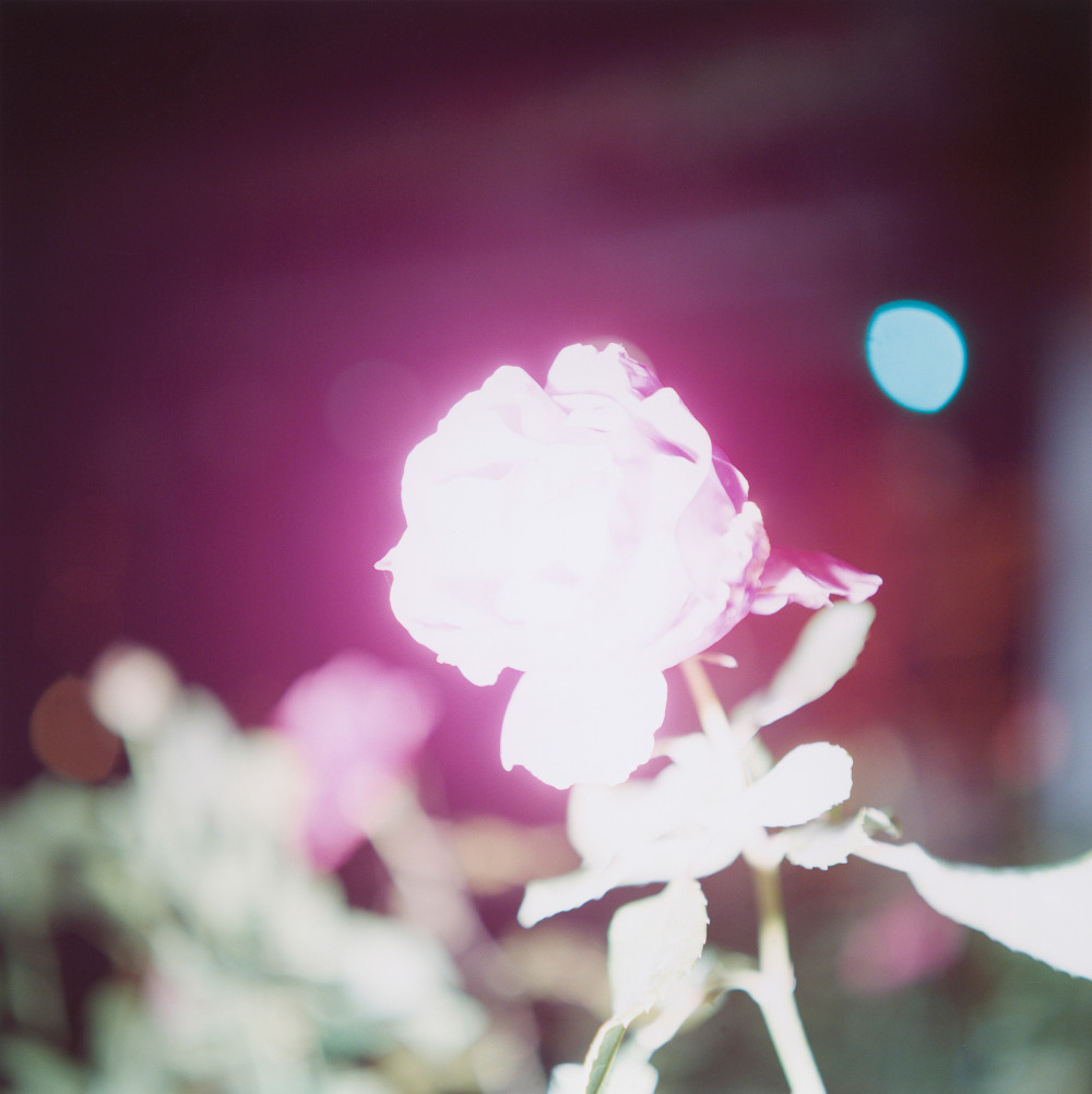 © Rinko Kawauchi, Untitled, from the series _Illuminance”, 2011.jpg